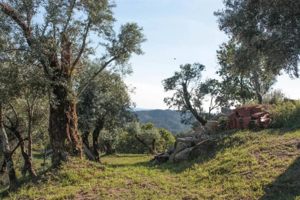 Cantinho Da Pereira Lugar المظهر الخارجي الصورة